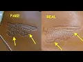 How to spot original Red Wings boots Real vs fake Red Wing Classic Moc boots