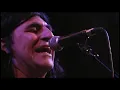 The Chameleons - One Flesh / Don't Fall / Splitting In Two, Live in SF 10/18/02 (Ascension DVD)