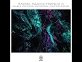 Holidays (Thinking Of U) - Plasticks