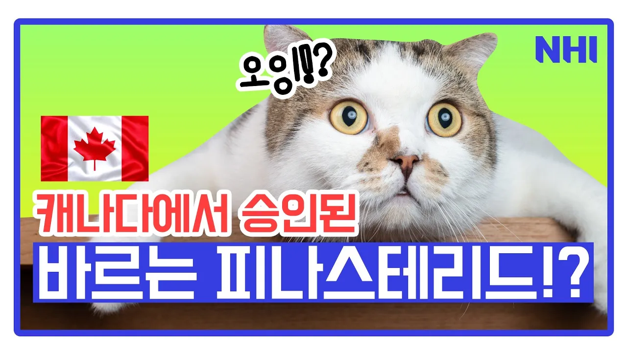 바르는 피나스테리드라고!? (캐나다에서 승인됨)ㅣ뉴헤어ㅣ탈모약ㅣ탈모치료