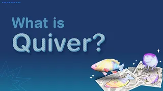 What is Quiver