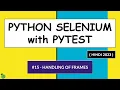 Selenium Python Hindi Tutorial - Handling of Frames