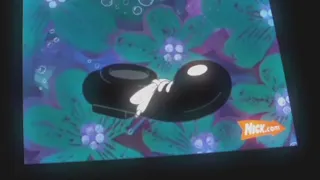Nickelodeon Channels Signal Error 2005