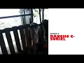 Chivo Nubia y boer