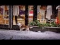 Chico s Holiday 2014