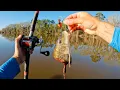 Catfishing for Money - Wheeler Lake Alabama