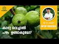 Download Lagu കാടു വെച്ചാൽ പഴം  ഉണ്ടാകുമോ? | PLANT FORESTS TO GET FRUITS ? | FRUIT FOREST USING MIYAWAKI METHOD