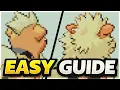 Growlithe Arcanine Evolution Location Guide - Pokemon FireRed LeafGreen