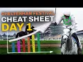 Cheltenham Festival STATS to help you WIN Day 1