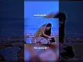 Download Lagu सूर्यपुत्र कर्ण 😢 एक मां की संताने भाई दो अनजाने 🥺 #shorts #karna #mahabharat
