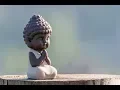 I AM Morning Affirmations Gratitude Self Love Positive Energy Freedom Happiness
