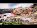 Download Lagu Mengejutkan! Bertapa Ratusan Tahun Buaya Terbesar Di Dunia Ditemukan Jadi Batu