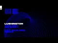 Lushington - You Got Me Baby (Cat Dealers Remix)