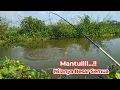 Download Lagu Mancing di Sungai ini Umpan Lumut Strike Full Nila Babon