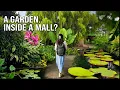 Why I Keep Returning to Kuala Lumpur s Malls Slow Travel EP1