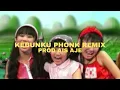 Download Lagu LIHAT KEBUNKU PHONK VERSION | Prod ais aje