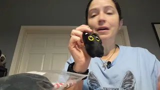 Black Cat Plush Keychains Test Drive and Thoughts