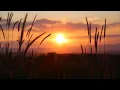 Download Lagu Countryside đŗđ - original instrumental (collab avec Roland) MP3