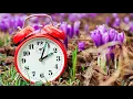When did clocks change for daylight saving time