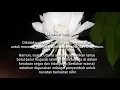 Download Lagu Kembangnya Bunga Bakawali \u0026 Mitosnya 🌵