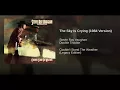 The Sky Is Crying (1984 Version)