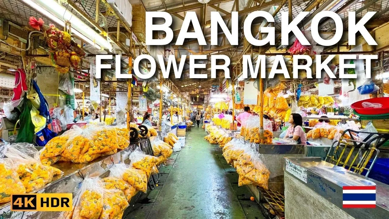 Youtube video S_6Z9ZlERZ4 