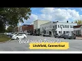 Relaxing Backroads Fall Drive to Litchfield CT No music