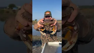 The EASIEST WAY To Clean A CRAB 