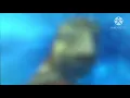Finding Nemo - Marlin Meets Crush