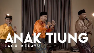 lagu melayu anak tiung ardan jalil imam mj production