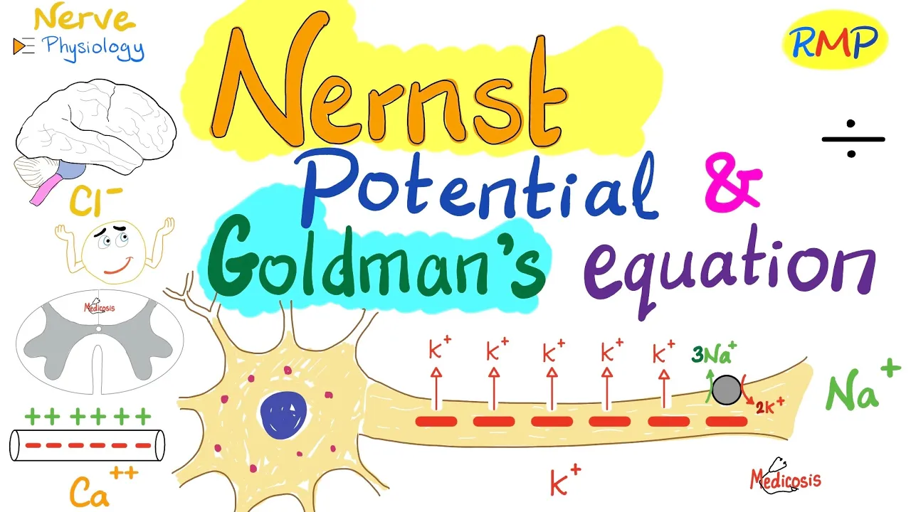 Nernst Potential and Goldman's Equation - Nerve Physiology - Physiology Series
