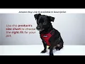 Voyager Step-in Air Mesh Harness and Reflective Leash Combo Review - Walk Your Pet in Style