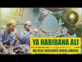 YA HABIBANA ALI // majelis sholawat nurul anwar