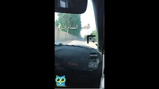 قصر السادات ميت أبو الكوم دار السلام                    دندنها