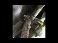 2014 Jeep Wrangler P0456 EVAP leak on top of fuel tank PART 1