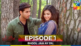 bhool jaa ay dil episode 1