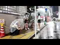 Download Lagu Kabukicho, Shinjuku, Tokyo. Updated on September 30, 2025.