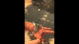 الي ينسى ينسى حبيبي مش ناسيني والي يقسى يقسى حبيبي يراضيني اكسبلور لايك 