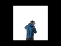 stdout - Patagonia Everything
