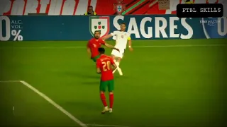 ميتروفيتش يصدم البرتغال في الدقائق الاخيرة 