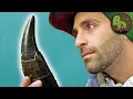 The MOST FAMOUS DINOSAUR Tooth