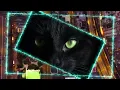 【CAT'S EYE】杏里