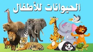 الحيوانات للاطفال أسماء وأصوات الحيوانات للأطفال الصغار باللغة العربية برامج تعليمية للأطفال 