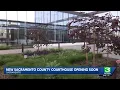 New Sacramento Superior Courthouse soon to open to the public