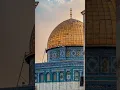 Download Lagu Palestine naat status/palestine naat arabic/ palestine naat ringtones/naat#naatsharif #naatstatus