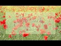 Nature s Serenade Tranquil Poppy Meadow and Bird Sounds for Ultimate Relaxation