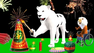 गरीब शेरनी की दीवाली और जादुई बाघ का परोपकार | Diwali Patakha | Sher Ki Diwali | Animals Stories.