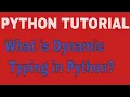 Dynamic Typing in Python Sumita Arora Class 11 CBSE Class XI Computer Science