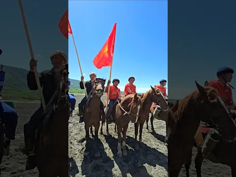 Кок-Бору  Ачы #атбазар #horse #rek