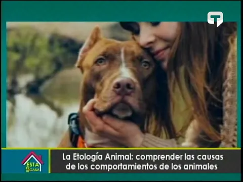 La Etología Animal: Comprender las causas de los comportamientos de nuestras mascotas